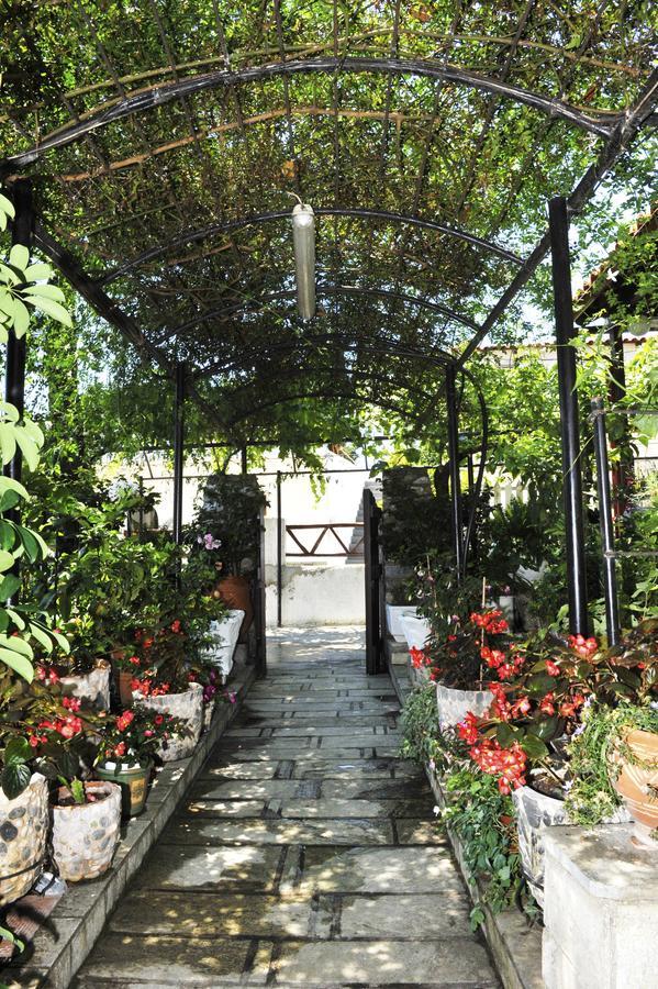 Chrissomalli Sofia Studios Skiathos stad Exteriör bild